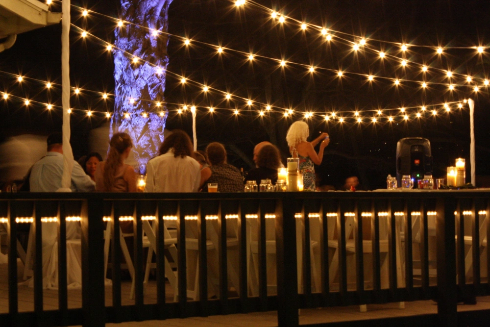 Martin Johnson House wedding lighting with warm string light canopy and tree uplighting during evening reception in La Jolla